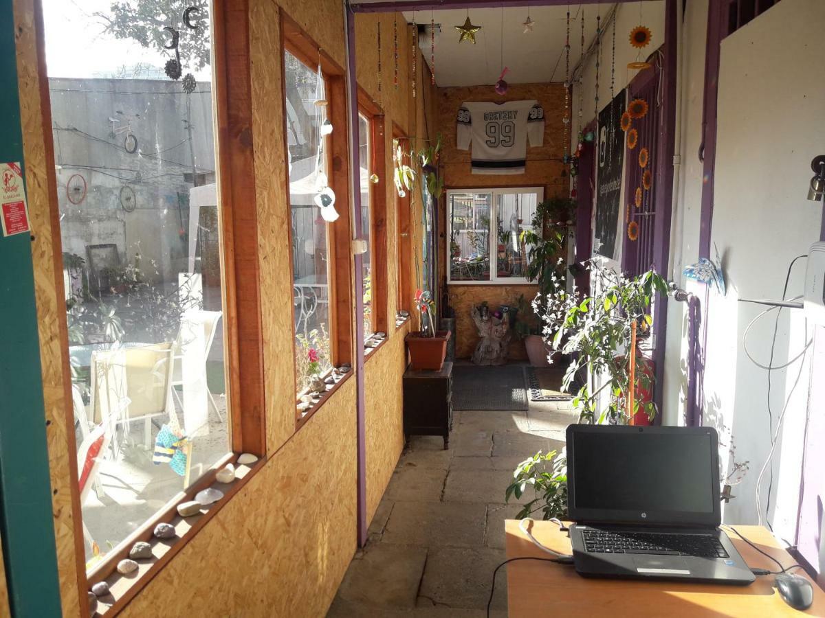 Street Garden Hostel Vina del Mar Exteriér fotografie